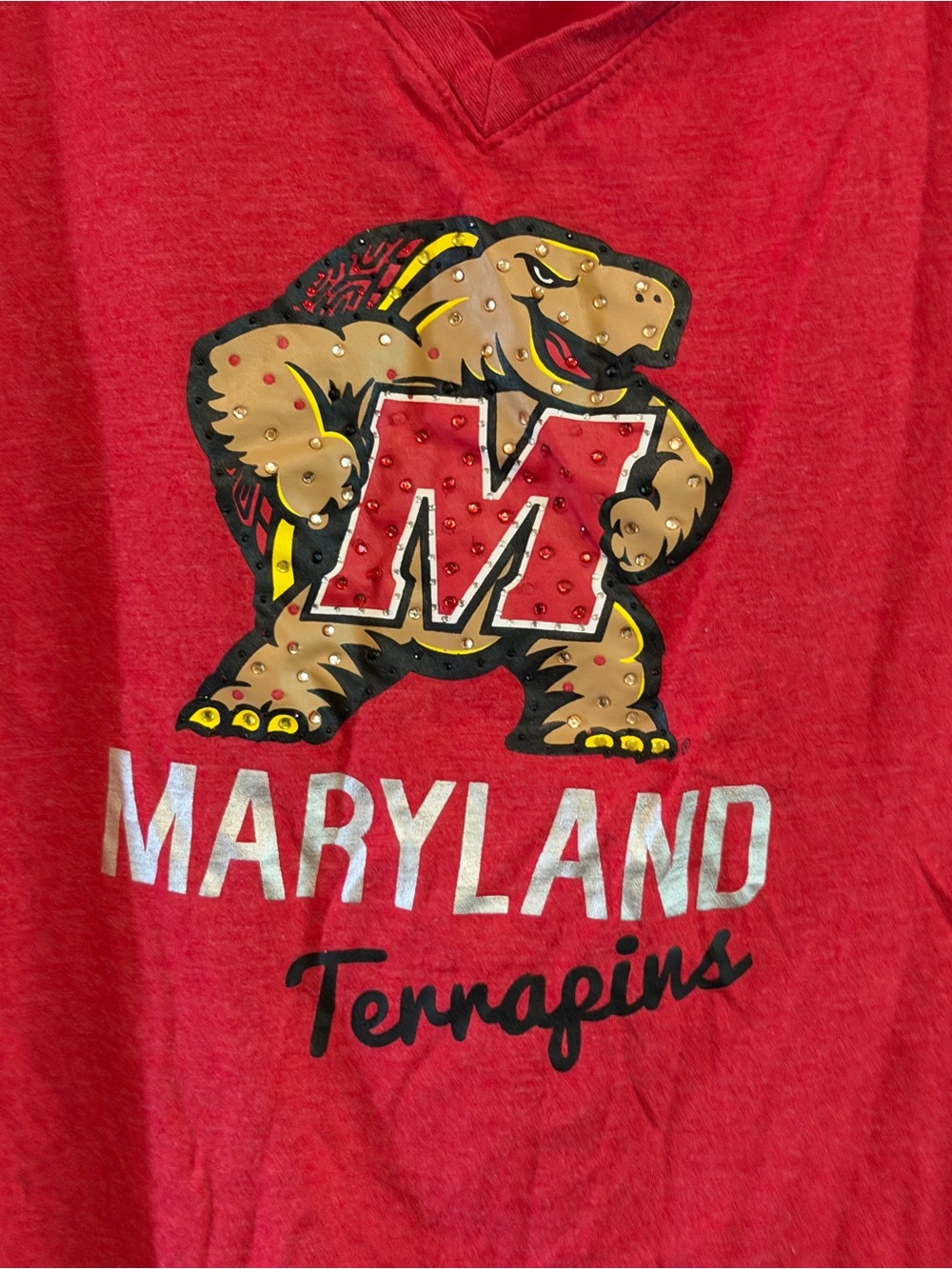 Campus Heritage Red T-Shirt with White Printed Label - Picture 4 of 6